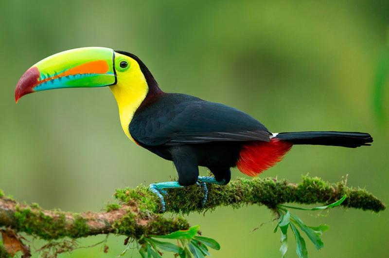 Esquina Lejana Ecolodge パロミノ エクステリア 写真