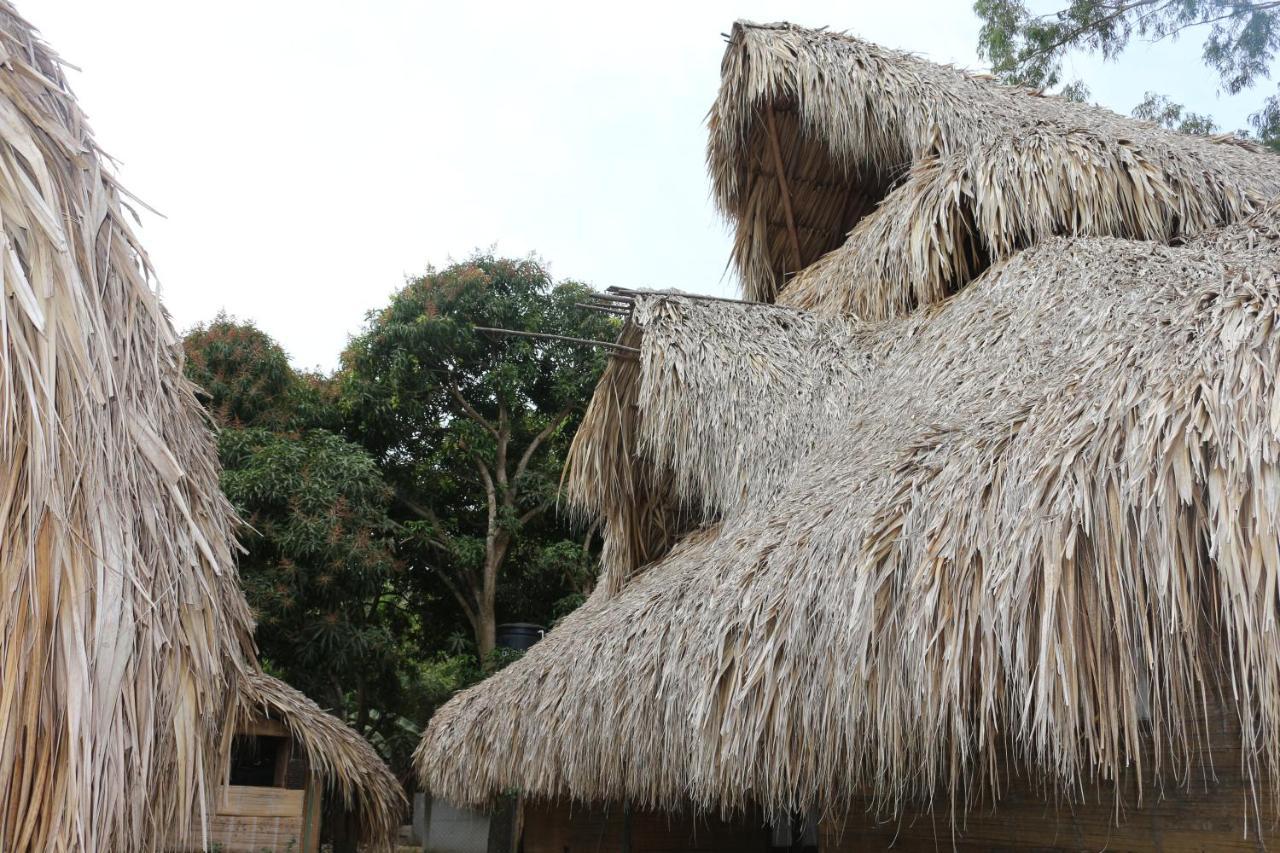 Esquina Lejana Ecolodge パロミノ エクステリア 写真
